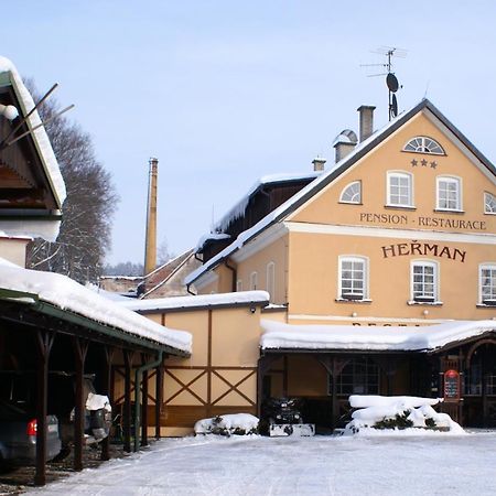 Pension Herman Rudník Exterior foto